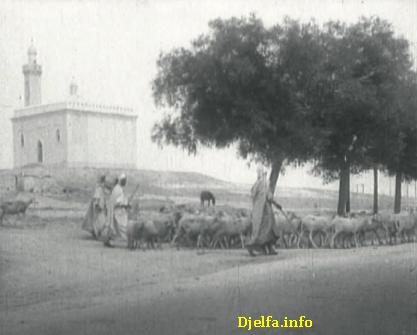 مسجد سي بلقاسم