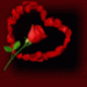   asma 20
