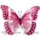   pink_butterfly