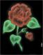   mohammed_m