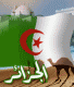   amircho3raa