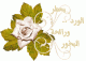   MANAL 29