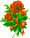   radia21