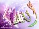   sanadif