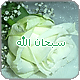   Beauty heart