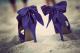   NOUR_light