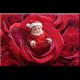   Ange_19