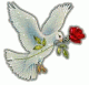   Noura813