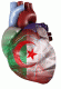   AbDoU 31