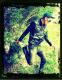   mat sat