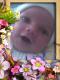   safi cool