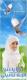   loulou mustafa