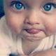   alilovic