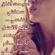   dina07