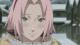   sakura-chan