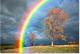   the rainbow