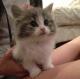   Dody Cute