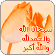   Rose.Rose