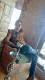   OTMAN39