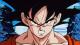   Kakarotto