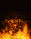   bachir2007