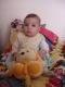   .Tigre