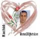   rachid1976